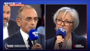 Zemmour - La France dans les yeux